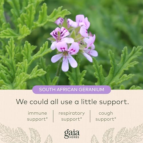 Gaia-Herbs-Cough-Syrup-Original-Soothes-Occasional-Dry-Coughs-with-Honey-Ivy-Leaf-Black-Elderberry-4-Fl-Oz