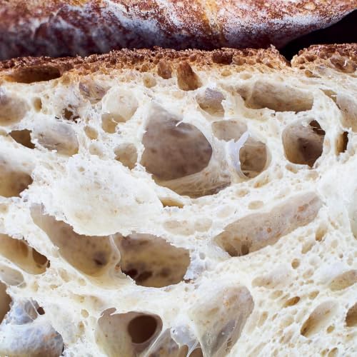 From the archive: Flour power: meet the bread heads baking a better loaf