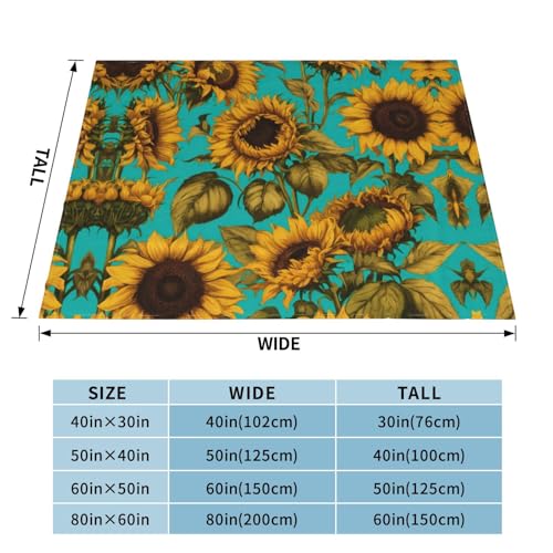 Couverture double pour quatre saisons en microfibre moelleuse premium