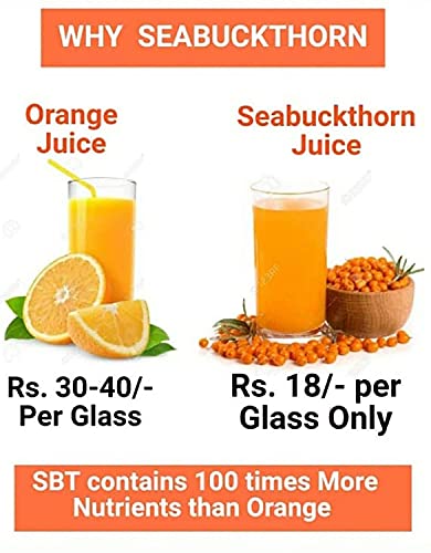 Image of BIOSASH SEA BUCKTHORN JUICE (Pack of 1)