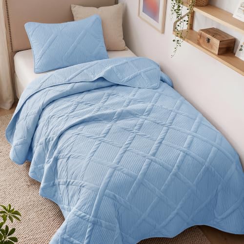 Exclusivo Mezcla 2-Piece Soft Twin Size Quilt Bedding Set, Sky Blue