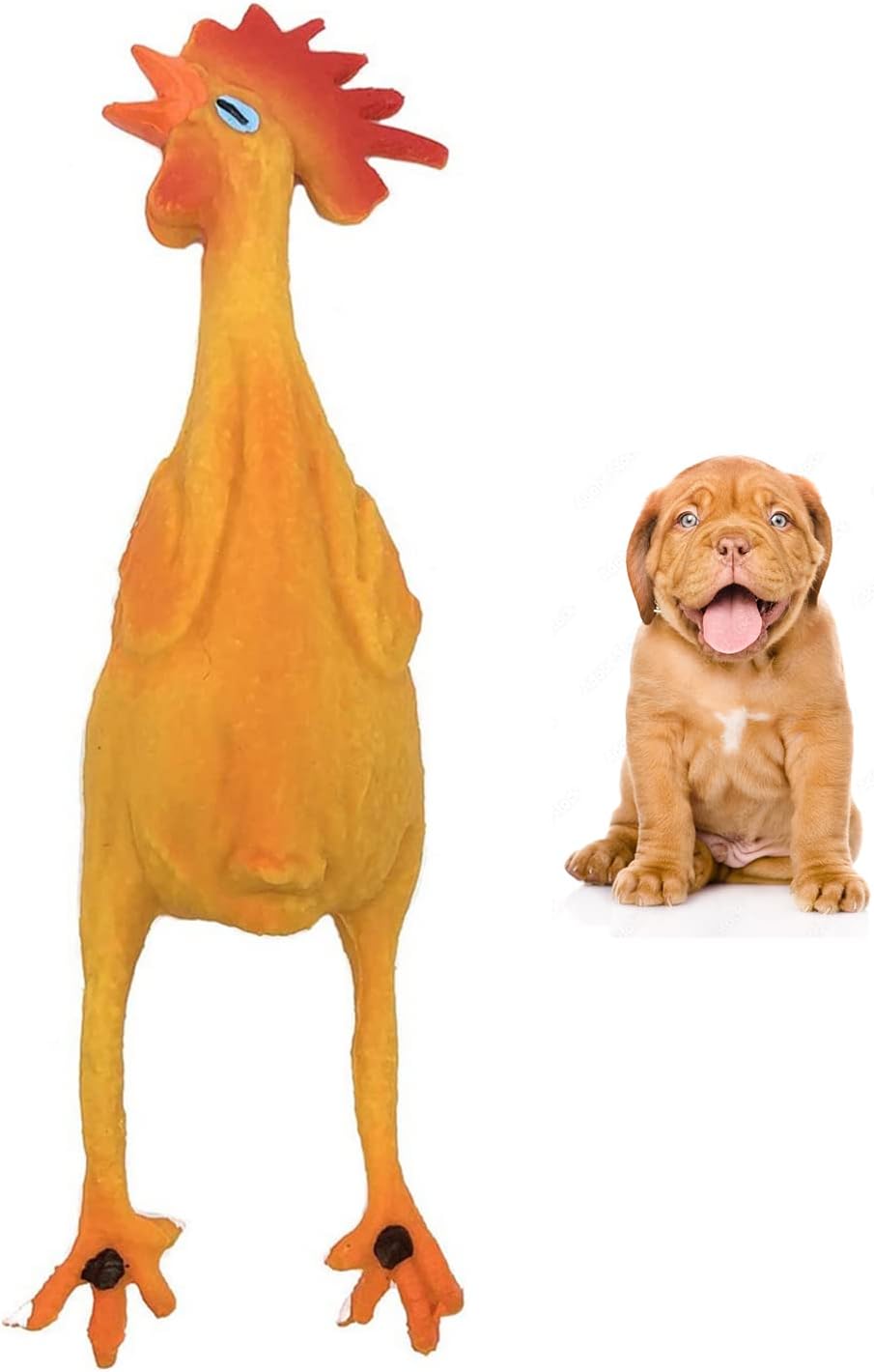 Lucas b Natural Dog Toys Rubber Chicken Squeaky Rubber (Latex). Lead-Free Chemical-Free Complies to Same Safety Standards as Children’s Soft Unstuffed Small