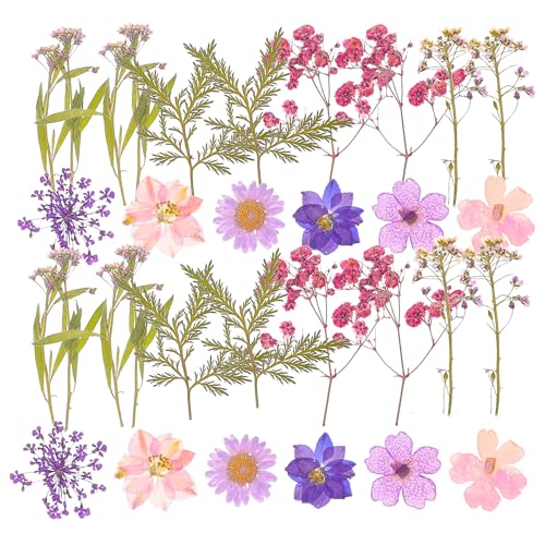 Set de Flores Secas Naturales y Prensadas 27pcs DIY miniatura 1