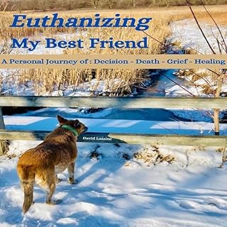 Euthanizing My Best Friend cover art