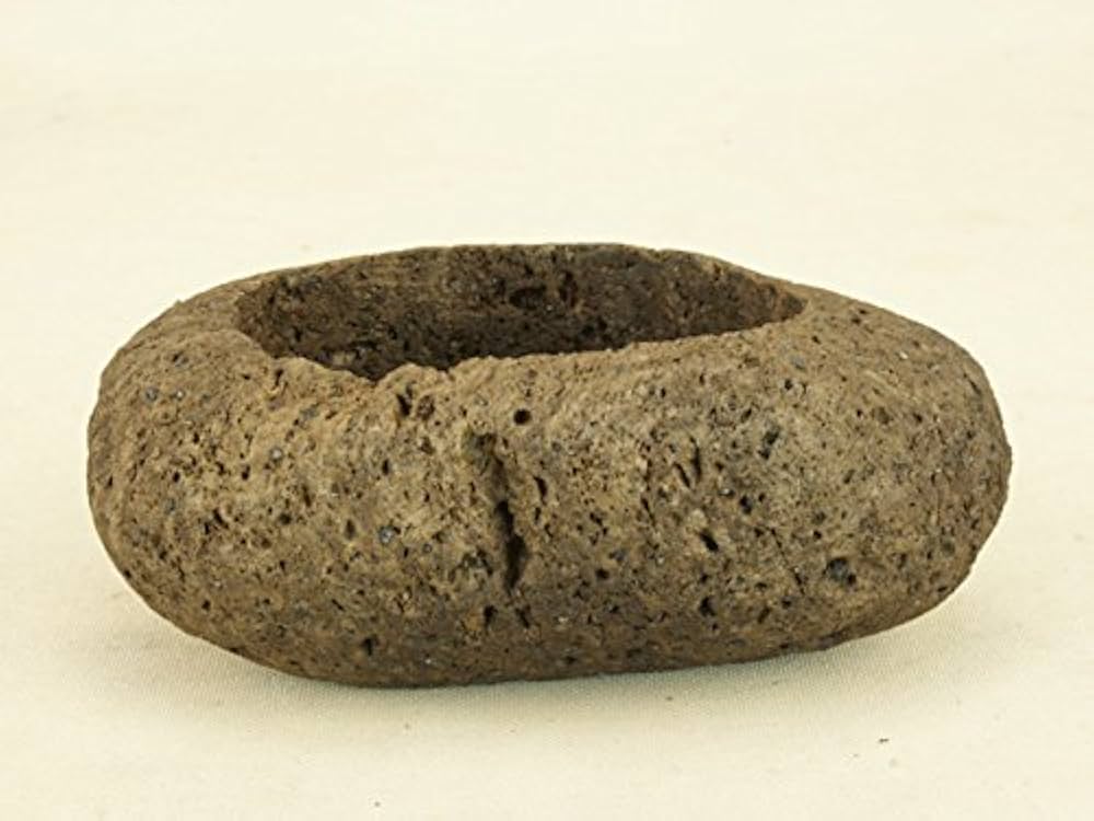 軽石 鉢 8個セット 自然形状 大量につき，大安売り 激安お買い得 超お買得 軽石鉢 植木鉢 山野草 多肉植物 盆栽 7個セット - メルカリ