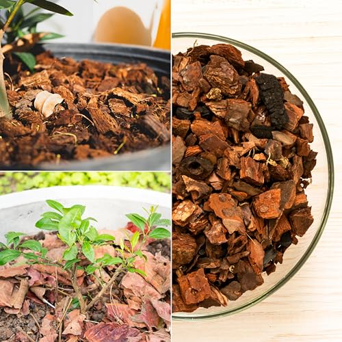 ProFlora® Biologisch abbaubare Kokoschips - Ideal geeignet für Pflanzen, Gärten und als Terrarien Bodengrund (5 Liter)