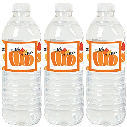 Big Dot of Happiness Pegatinas para botella de agua con diseño de calabaza de otoño - Halloween o Acción de Gracias - Juego de 20 unidades Cover