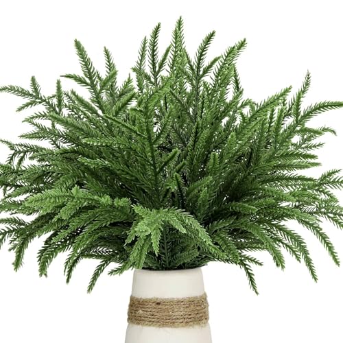 Pine Branches