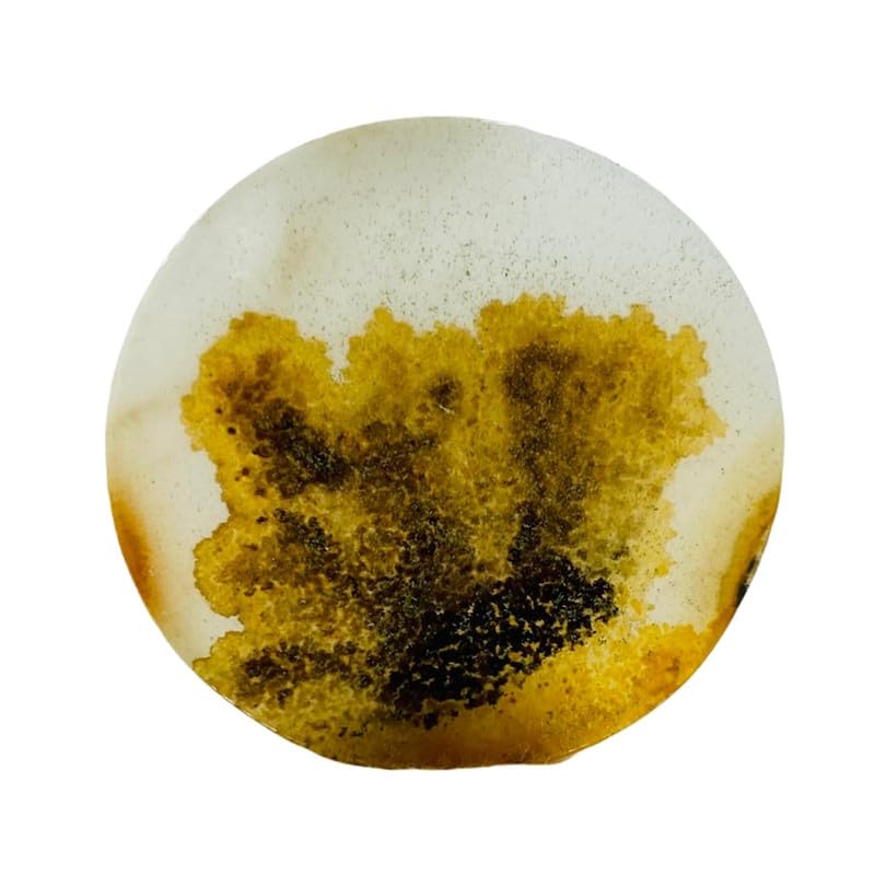 Agate dendritique naturelle ronde 40mm cabochon Shajar pour création de bijoux DIY