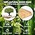PeckCam® Bird Feeder with Camera - 4MP 2K Live AI Bird Species Identification Instant Arrival Alerts - Smart Cameras Birds Feeders Solar Powered Birdwatching Gift for Birdlover Mom Dad, 2.4GHz WiFi