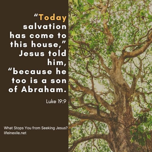 What Stops You from Seeking Jesus?