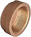 Merit Brass-XNL116-08 Brass Pipe Fitting, Cap, Class 125, 1/2" NPT Female