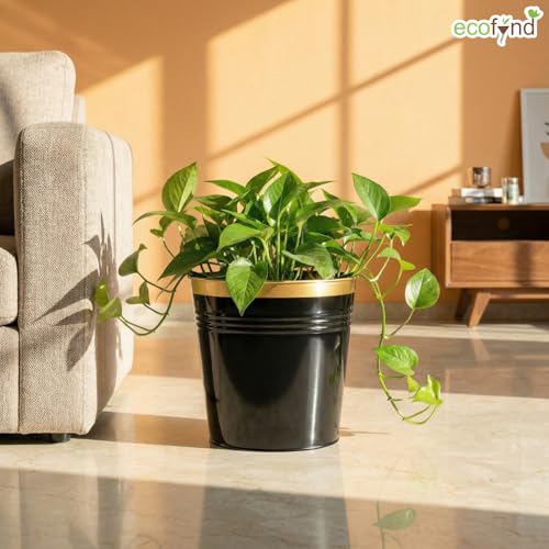 Image of ecofynd Modern Black Metal Planters 10 Inches Pack of 1, Indoor Outdoor Balcony Flower Pots, Living Room Decor Gamla, Midland Garden Pot, Home Decoration Planters, Office Decor Set (REC19004-BLK)