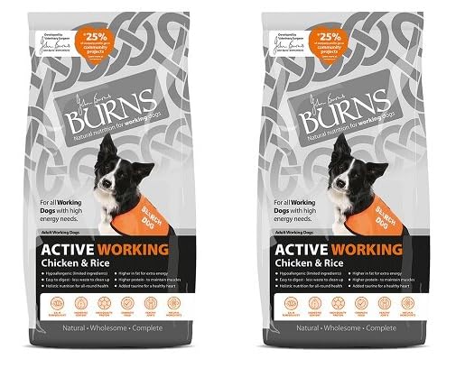 (2 Pack) Lothian Stores UK Burns Active Working Chicken & Rice 12kg (Total 24kg) - Dry Dog Food
