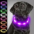 Joytale Light Up Dog Collar,LED Flashing Dog Collar for Night Walking, Illuminated USB Rechargeable Glow Collars for Puppy Small Medium and Large Dogs,Purple
