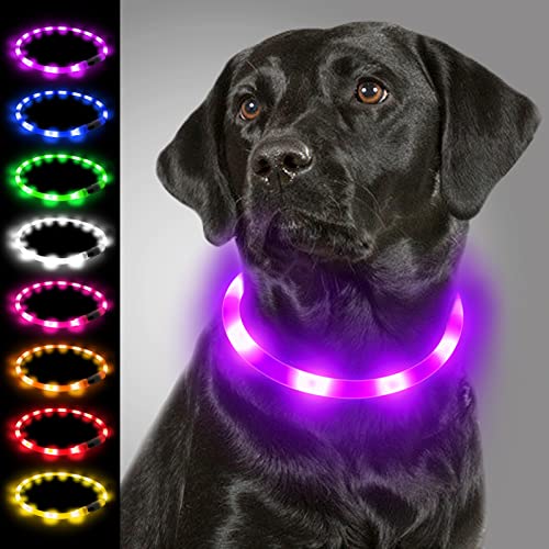 Joytale Light Up Dog Collar, Rechargeable Rainproof LED Collar for Night Walking Safety, Soft Silicone Glow in The Dark, Suitable for Small Medium Large Dogs, Purple