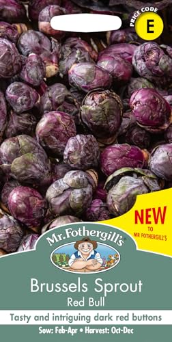 Mr Fothergills Seeds Brussels Sprout Red Bull Seed