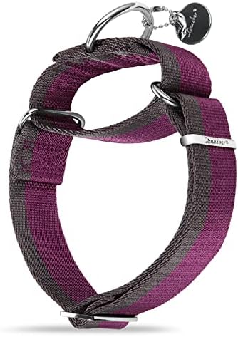 Dazzber Martingal Halsbänder für Mittel/Große Hunde 4cm Breites, Extra Starkes, Verstellbar, Hohe Farbechtheit- Nylon 2 Farbe Gestreift Weit Hundehalsband (Fuchsie & Grau, Groß, 4c