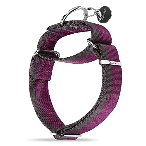 Dazzber Collare Martingale largo 3,8 cm 1200D in nylon extra forte, collare per cani senza trazione resistente con striscia in 2 colori per cani di taglia media e XL (grande, rosso violaceo e grigio)