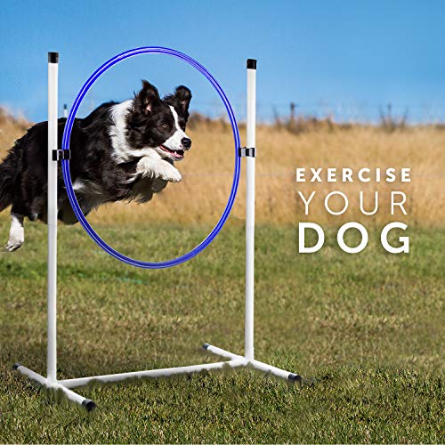 Better Sporting Dogs Complete Starter Agility Set for Dogs | 5 Piece Dog Agility Kit | Dog Tunnel | Agility Jump | Tire Jump | Weave Poles | Pause Box
