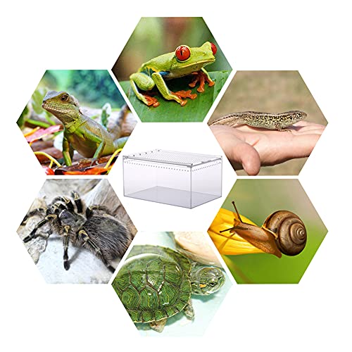 Naneezoo MICRO HABITAT TERRARIUM Magnetic Acrylic Large Enclosure 2.5 Gallon, 12 X 8 X 6 Inch Reptile Breeding Box Terrarium Cage For Insect Tarantulas Amphibians Caterpillars Snail Clear Acrylic Reptile Feeding Box thumb #6
