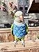 FORZENA Bird Clothes - Cotton Sweater Bird Flight Suit for Parrots African Greys Parakeet Cockatiel Sun Conure Christmas Party Birthday Cosplay Photo Gift Parrot Apparel Bird Supplies (L,Blue Plaid)