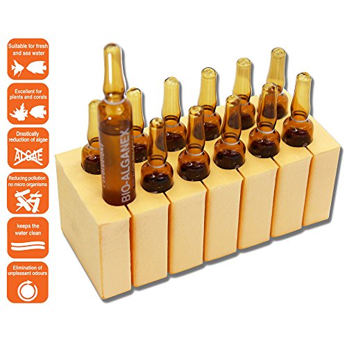 EQUO - Confezione di BIO-ALGENEX