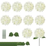 ZEYRU 10 Piezas de Flores de Hortensia de Seda Cabezas de Flores de Hortensia Artificiales con Hojas gemelas y Tallos para la decoración del Banquete de Boda en el hogar-Blanco Roto, 10 Piezas