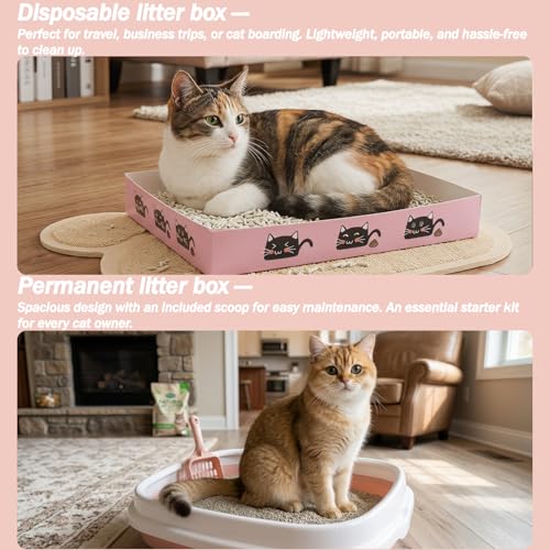 Kitten Starter Kit - 45 Pcs of Cat Essentials - Image 3