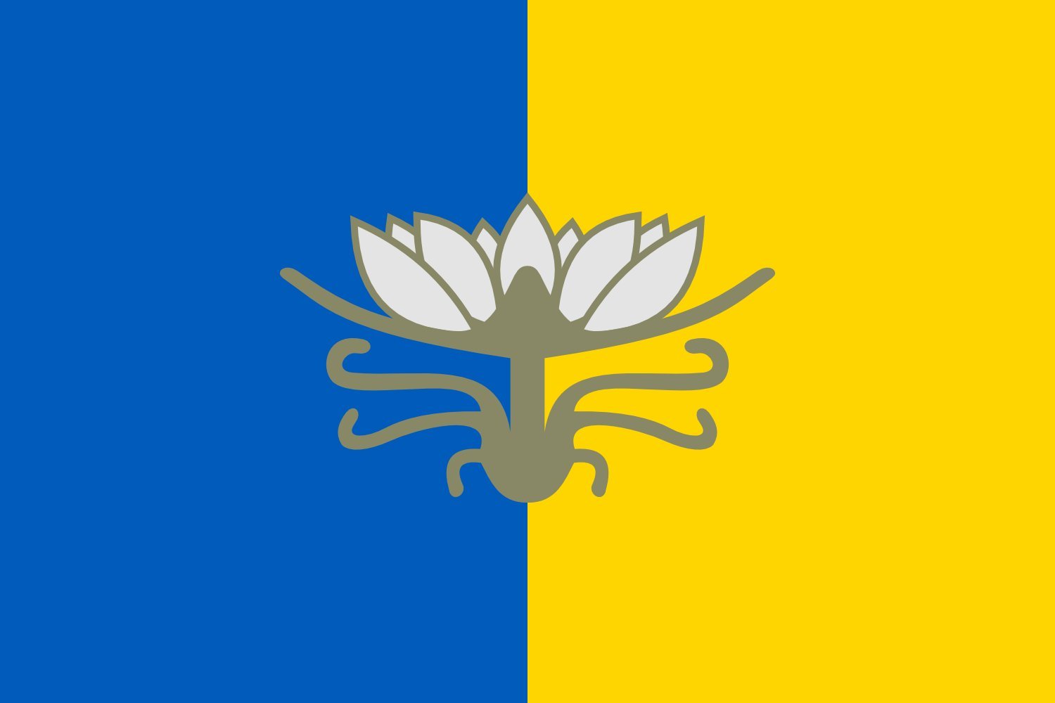 Drapeau Hola Prystan grand format de la région de Kherson
