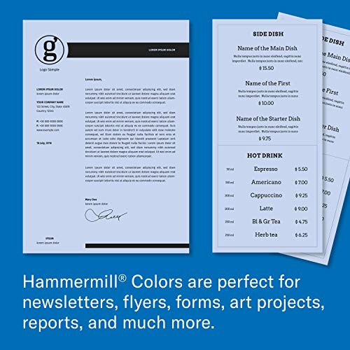 Image of Hammermill Colors Orchid, 20lb, 8.5x14, Legal, 5000 Sheets /10 Ream Case (103788C)