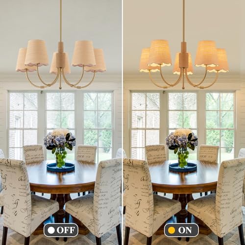 SUETONG Boho Rattan Chandelier, Antique Brass Farmhouse Chandeliers, 5-Lights Coastal Pendant Light Fixtures for Dining Room Kitchen Island Living Room - Image 4