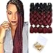 Ombre Braiding Hair Extension Kanekalon Synthetic Hair Crochet Braids Two Tone Jumbo Braiding Hair 24 Inches, 5Pack/Lot (1B/Bug)