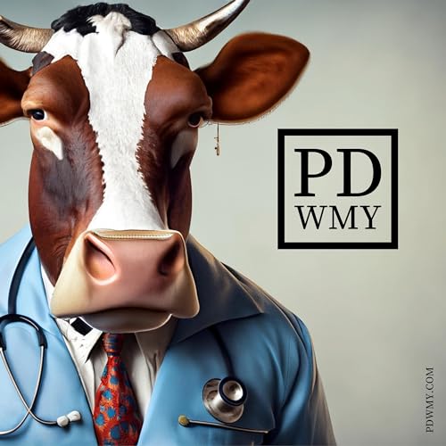 Battling Man Flu: Reflections and Revelations on Self-Improvement and Communication &ndash; Ep. 9