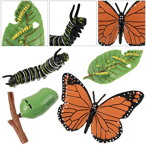 Yardwe 4Pcs Figuras De Insetos Bug Do Ciclo de Vida de Veado Borboleta Safariology Figuras Brinquedo