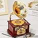 Hewnda Gramophone Music Box, Classical Trumpet Gramophone Cosmetic Box and Jewelry Box Home Decoration (Brown)