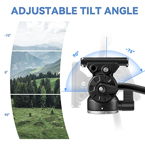 Raubay Compact Video Tripod Fluid Drag Head, Pan Tilt Camera Mount With Arca Swiss Quick Release Plate, Max. Load 6.6Lbs/3Kg For Compact Video Cameras, Dslr - Cf99 #TOP3