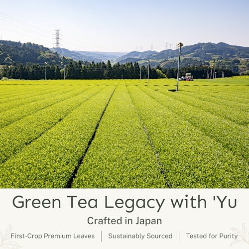 Polvo de té matcha orgánico ceremonial 50 porciones miniatura 5