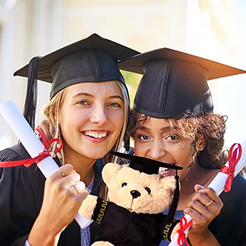 4 Pcs Bear With Graduation Cap Toys 10 Inch Graduation Bears Class Of 2023 Graduation Stuffed Animal Brown Graduation Doll With Black Gown Graduation Plush Graduation Toys With Bags For Graduation Day #TOP6