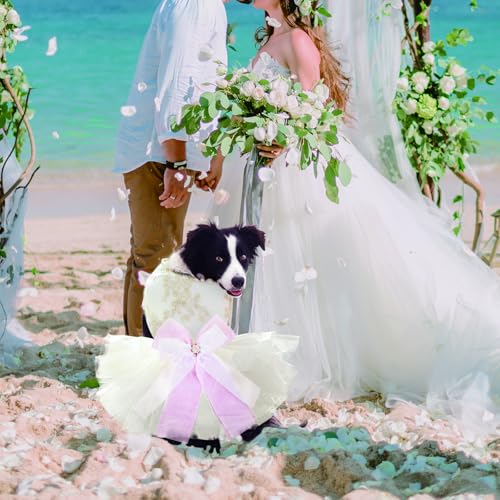 Roupa de casamento bordada para cães, vestido de princesa para cães pequenos, saia de tule para filh