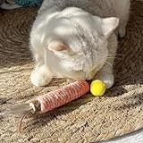 Zoom IMG-1 petgens bastoncini erba gatta per Zoom IMG-1 petgens bastoncini erba gatta per