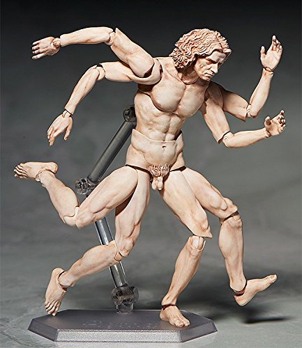 Freeing Table Museum The Vitruvian Man Figma Action Figure #TOP3