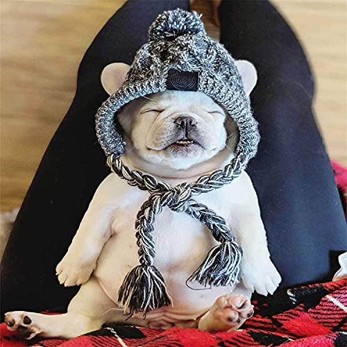 Dikeo Polar Pom Pom Hat, Warm Pet Dog Knitted Hat,Pet Dog Winter Knitted Hat, Hats for Small Dogs, Winter Dog Hat with Ear Holes and Long Tassel, Grey (Medium)