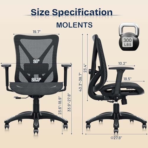 dorsum mesh executive office chair