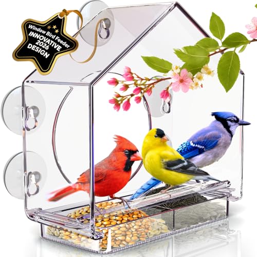 Premium Window Bird Feeder for Outside - Clear Bird House