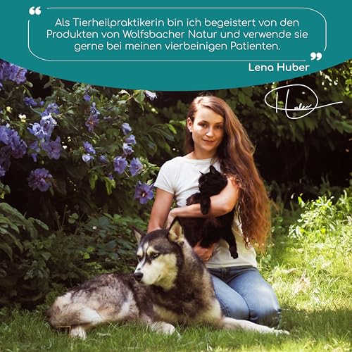 Wolfsbacher Gelenktabletten für Hunde mit Grünlippmuschel | 100 Stück - Made in Germany | hochkonzentriert, leicht zu füttern, hohe Akzeptanz | Teufelskralle, MSM und Glucosamin
