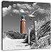 Produktbild Pixxprint Leuchtturm mit Möwe an Strandweg schwarz/weiß, Format: 60x60 auf Leinwand