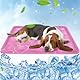 Kühlmatte Hund,60x50cm Kühlmatte Katze Rosa,Kühldecke Hund mit Selbstkühlend Ungiftiges Gel,Kühlmatte für Hunde&Kühldecke Katze Wasserdicht Reißfest Faltbare,Katzen Kühlmatte für Katzen und Hunde