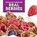 Kellogg's Special K Plus Berries and Dark Chocolate Super Blend Cereal, High Fiber, 11.7 oz