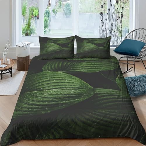 Housses de couettes microfibre de qualité supérieure parure de lit double imprimé dessin